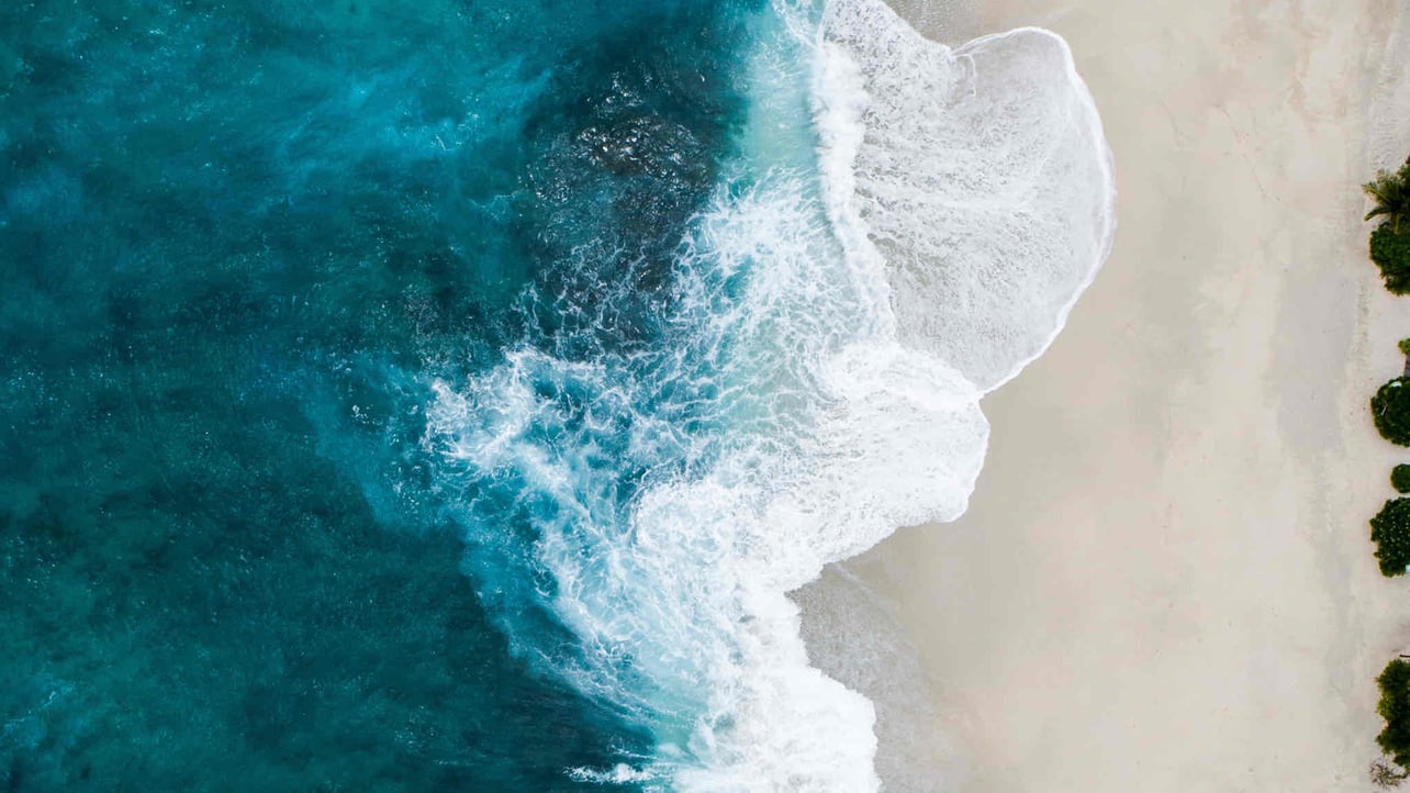 Gvuc (cghcgcyfh) Farcaster social identity (Fname handle) PFP