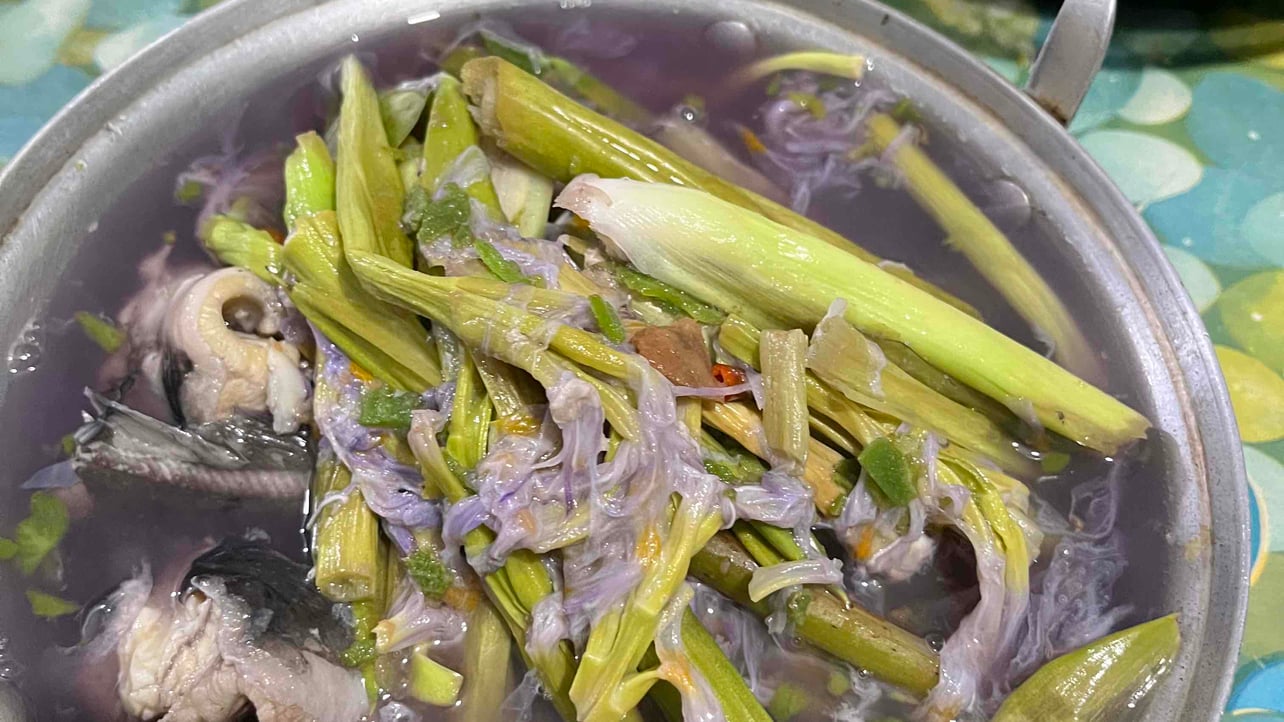 habumatata (habumatata.lens) Lens social identity (.lens handle) PFP