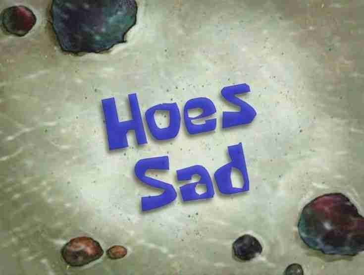 MetconcarResumfish pfp