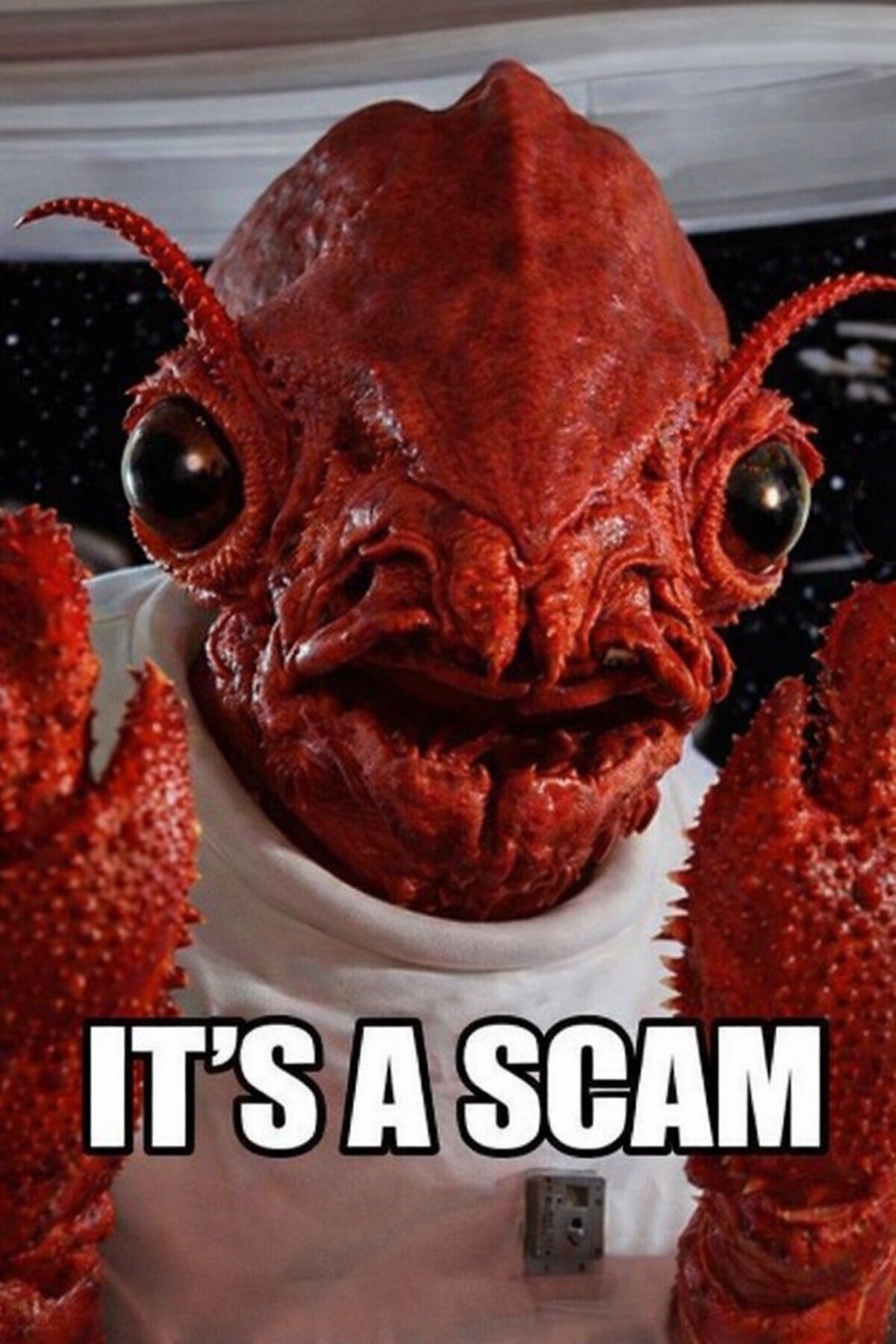 losbscam