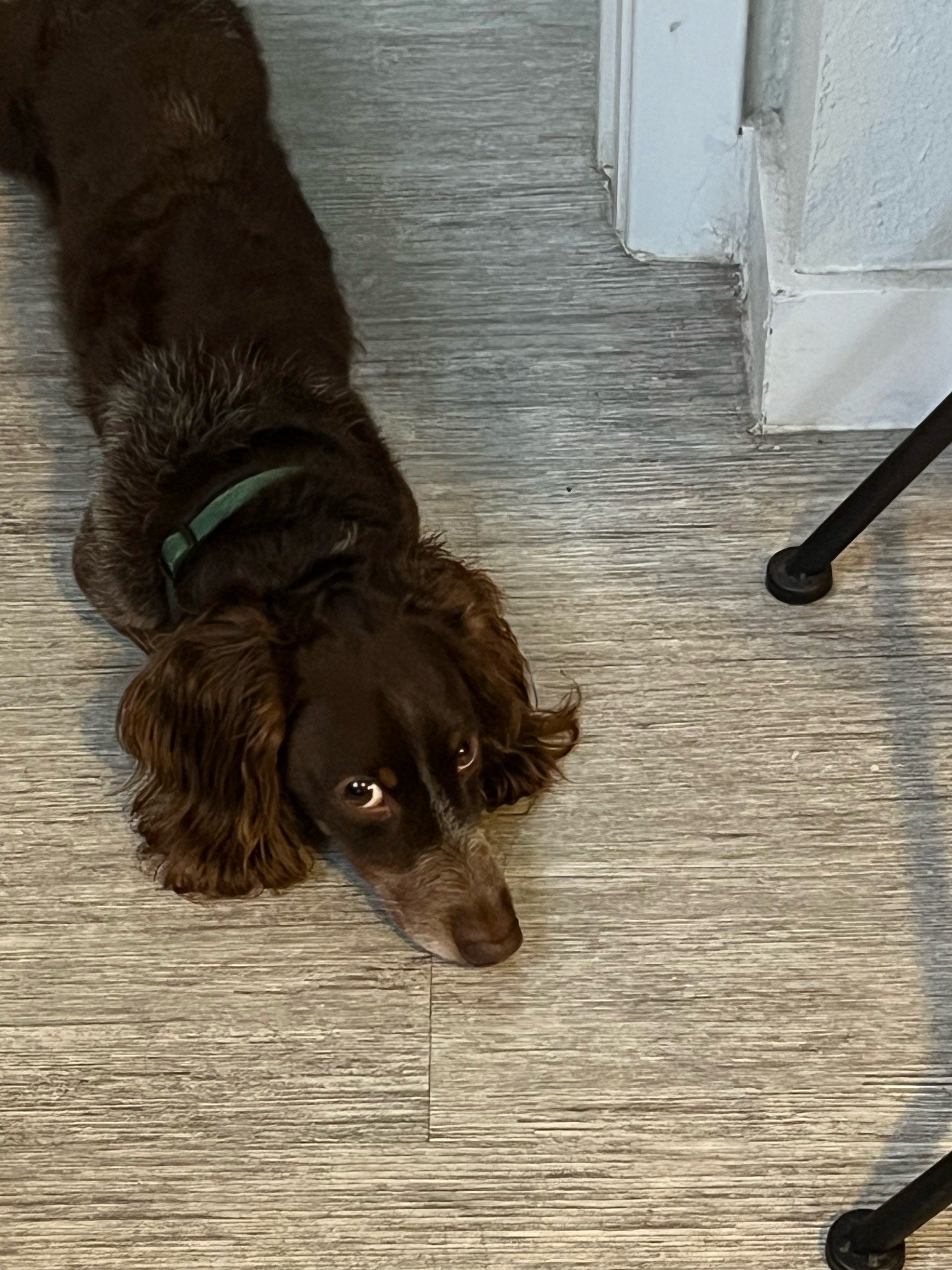 Embed from @nounishprof