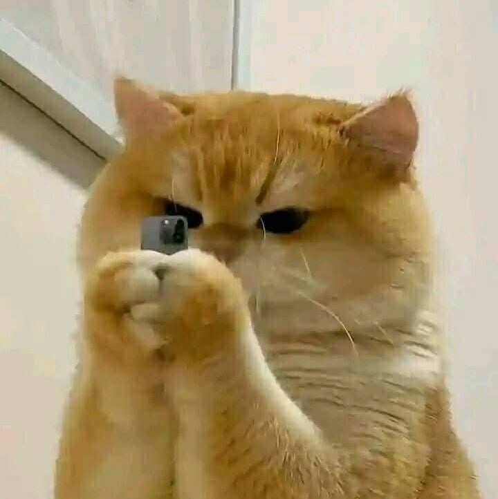 Agung Arrafi pfp