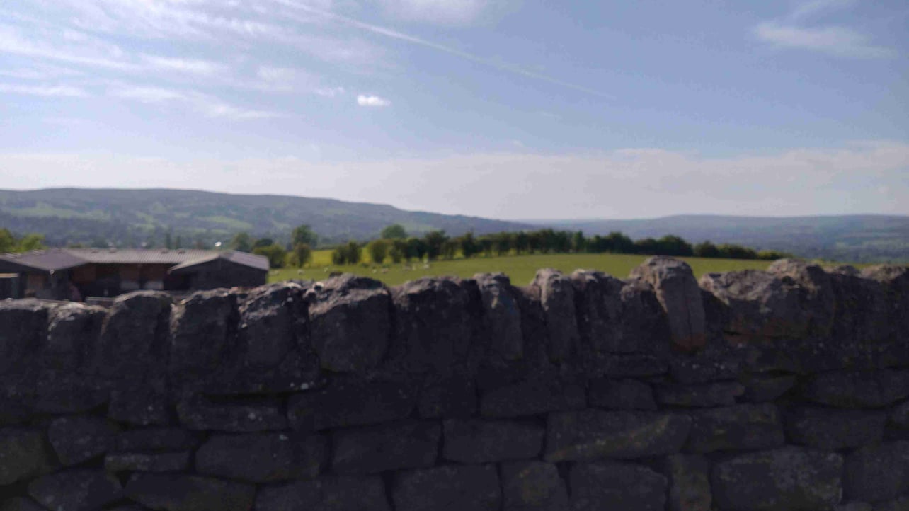 0y149.lens Lens social identity (.lens handle) PFP