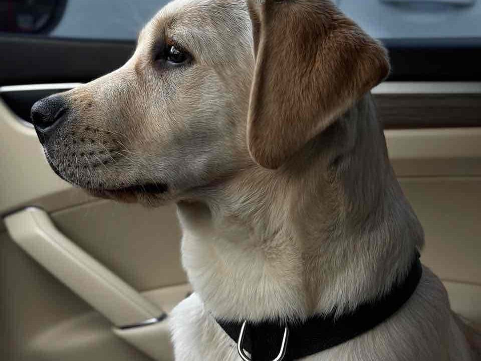 Dmytra (dmytra) Farcaster social identity (Fname handle) PFP