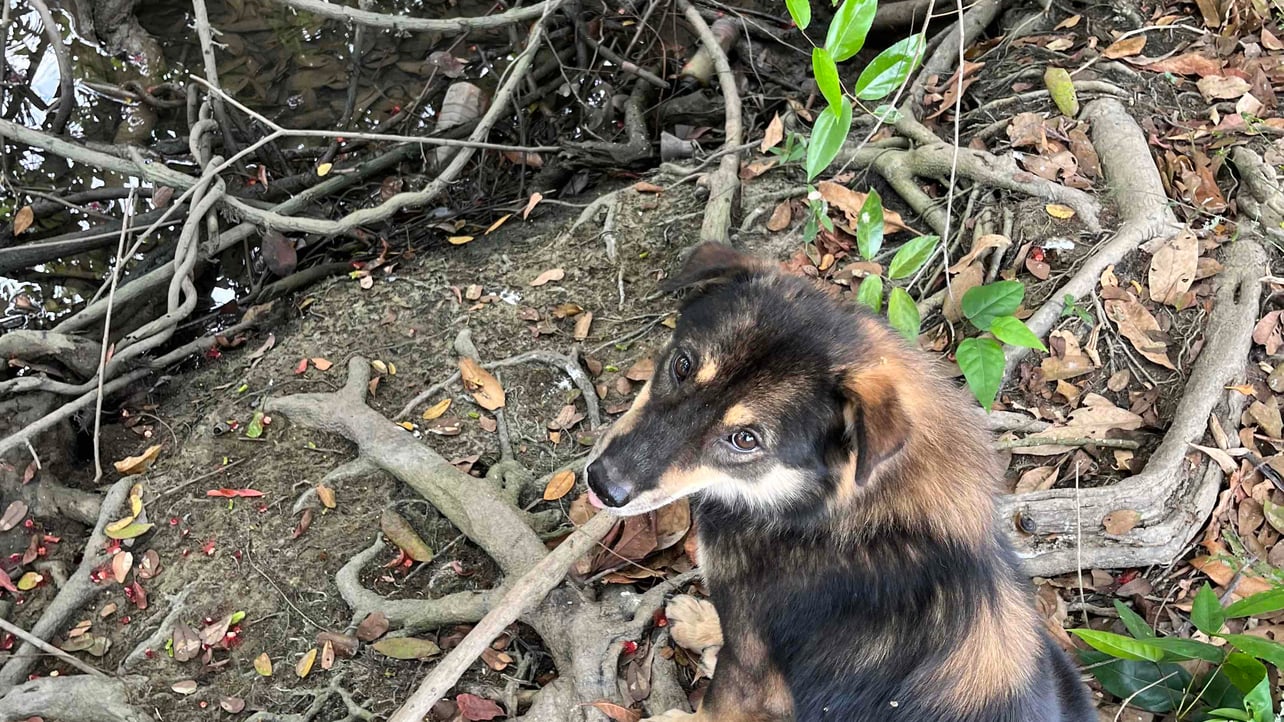 surranbrokawcp654 (surranbrokawcp654.lens) Lens social identity (.lens handle) PFP