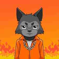 avonat (avonat.lens) Lens social identity (.lens handle) PFP