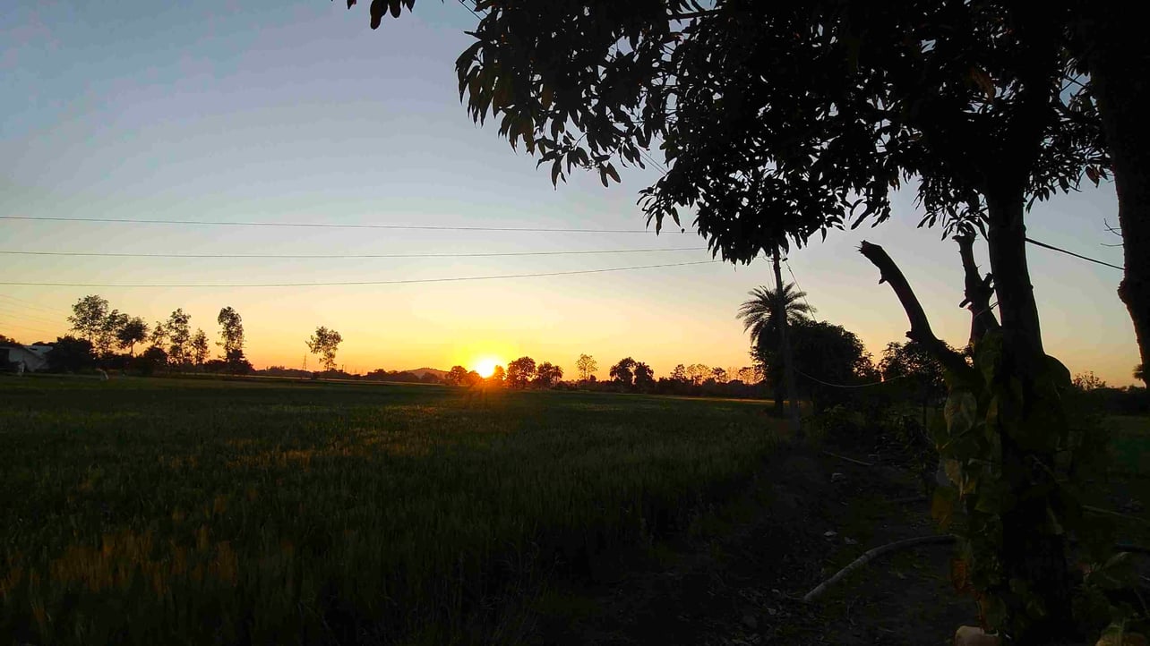 vitaminb3.lens Lens social identity (.lens handle) PFP