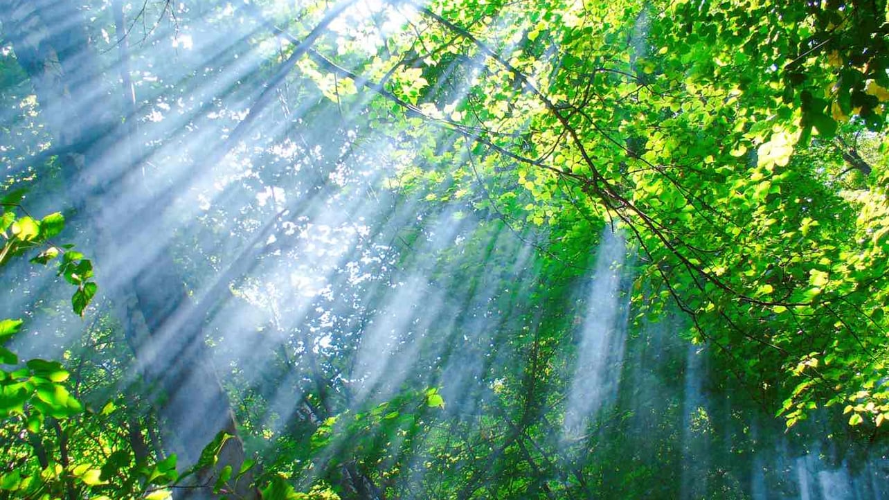 a1688 (a1688.lens) Lens social identity (.lens handle) PFP