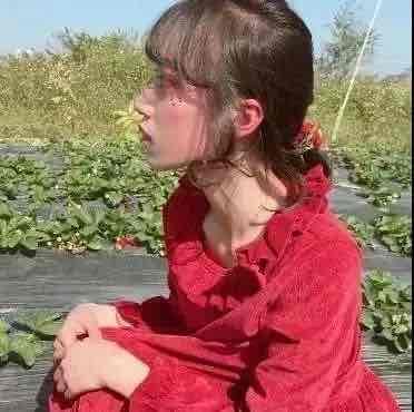 modestostrohmayer.lens Lens social identity (.lens handle) PFP