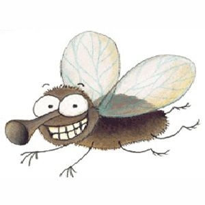 Mosca Cojonera
