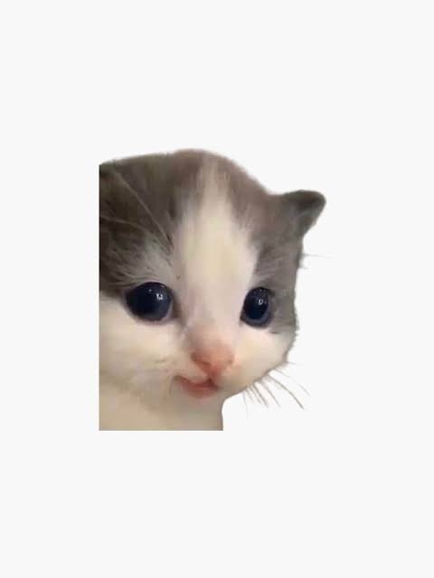 hehehehehehehehehehehe