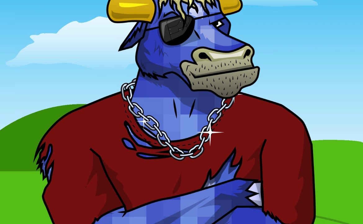 bull8anks pfp