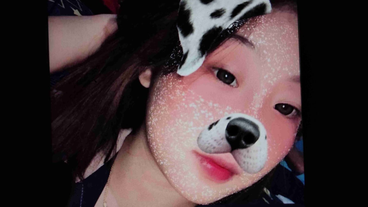 Fatcat pfp