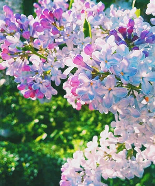 SuttonLarkin  (suttonlarkin) Farcaster social identity (Fname handle) PFP