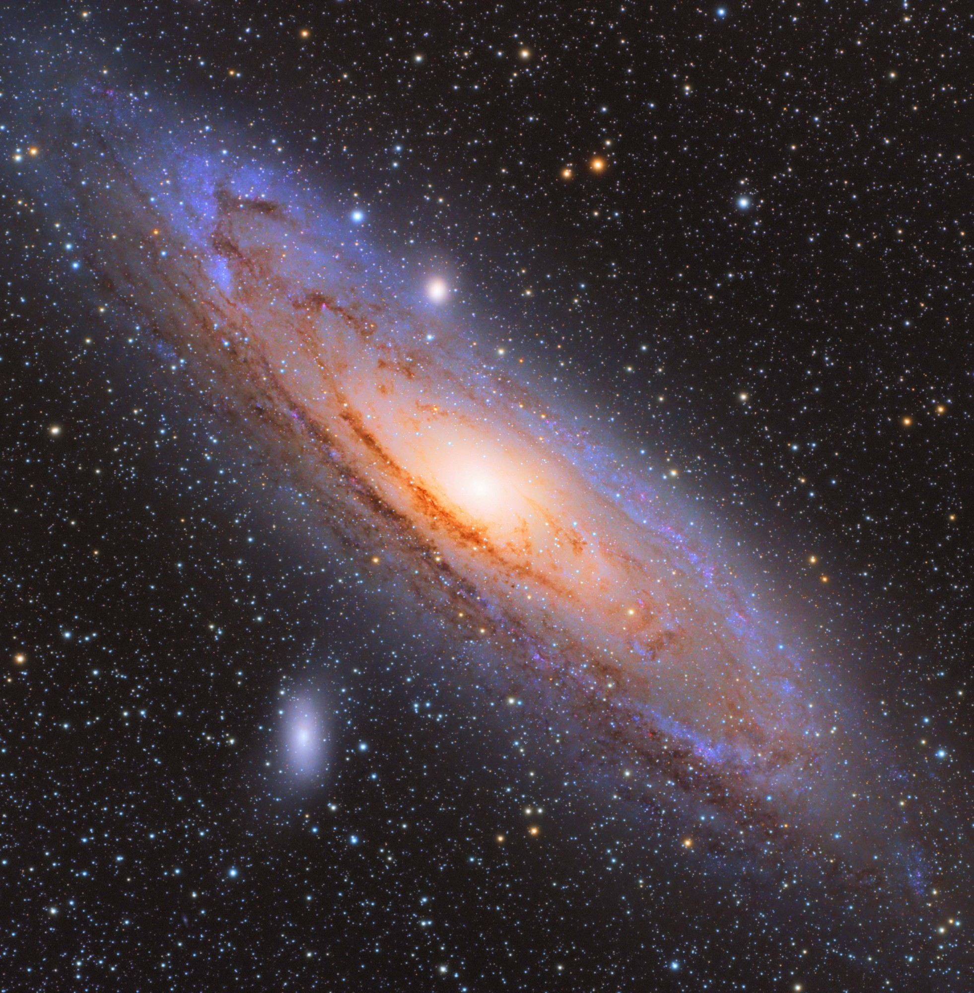 Embed from @astromarkc