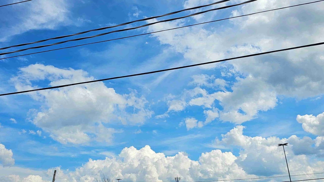 Mikasa (mikasaa) Farcaster social identity (Fname handle) PFP