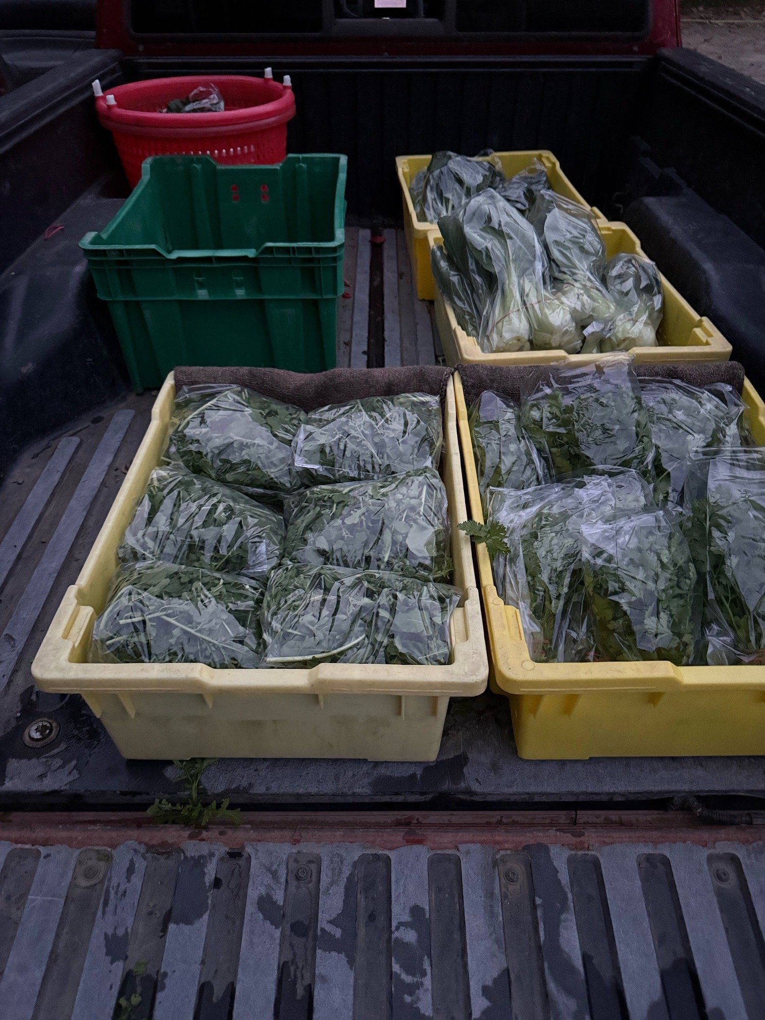 Embed from @brixbounty