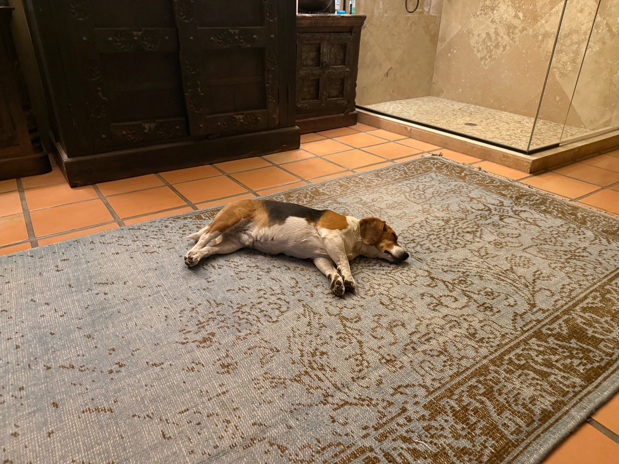 Doggie