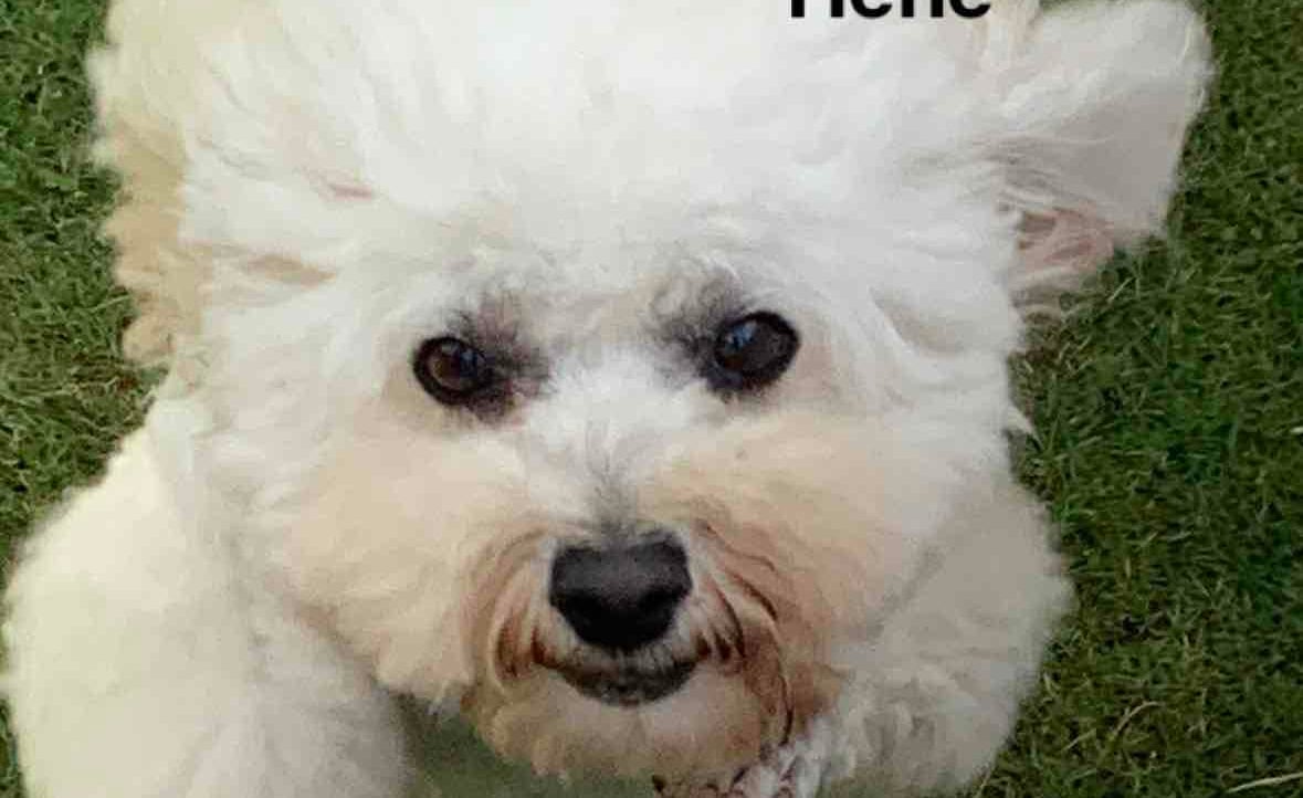 Max (ethan841) Farcaster social identity (Fname handle) PFP