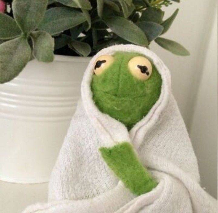 tilitilitralivali.lens Lens social identity (.lens handle) PFP