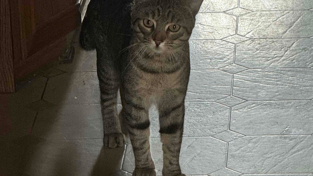 Florian Ermer (ermer1998.lens) Lens social identity (.lens handle) PFP