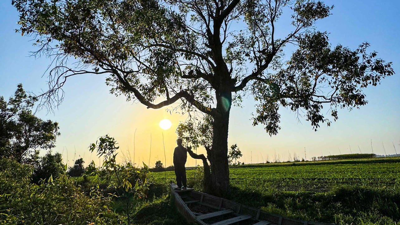 Paradoxether (paradoxether.lens) Lens social identity (.lens handle) PFP