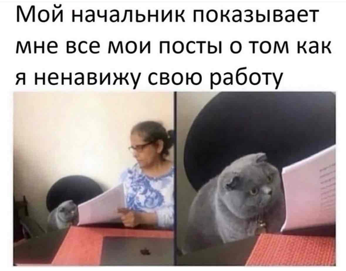 https://imagedelivery.net/BXluQx4ige9GuW0Ia56BHw/53811069-f7bd-4af6-e43d-0cc683304500/original