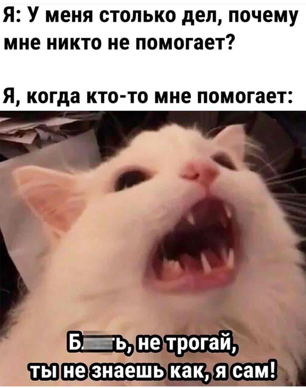https://imagedelivery.net/BXluQx4ige9GuW0Ia56BHw/53a97fb6-2aa2-4aa3-f237-94ce083e0f00/original