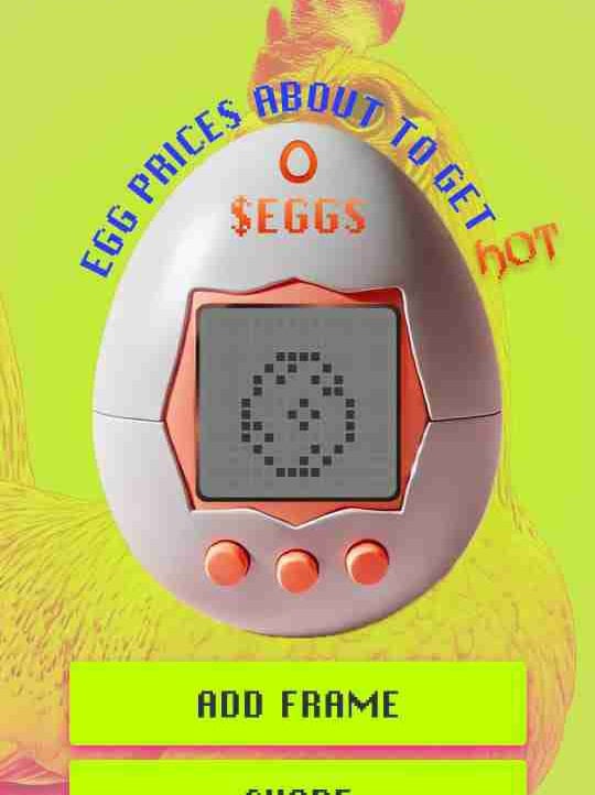 dikool (dikaaa34) Farcaster social identity (Fname handle) PFP