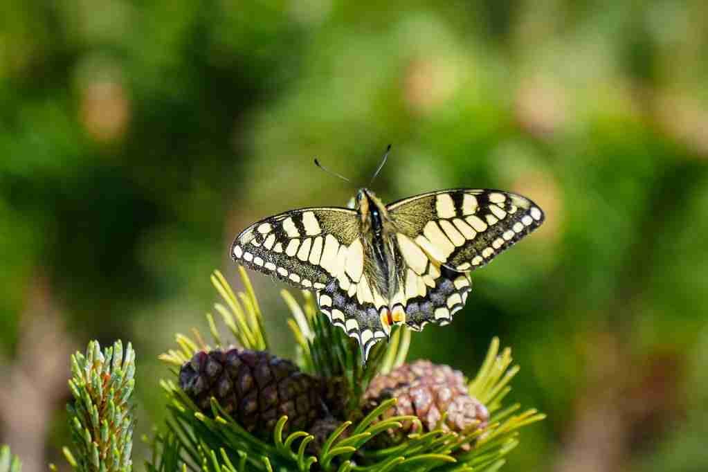 Isis Oliveira (maria-lizda-mota) Farcaster social identity (Fname handle) PFP