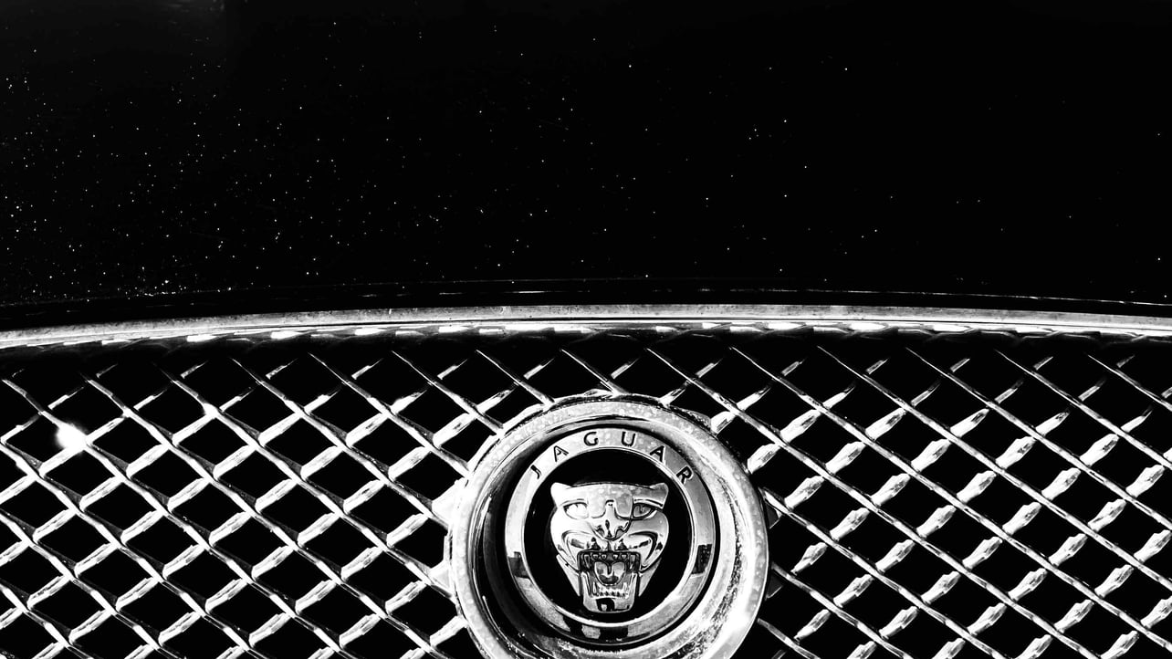 LBDV577 (lbdv577.lens) Lens social identity (.lens handle) PFP