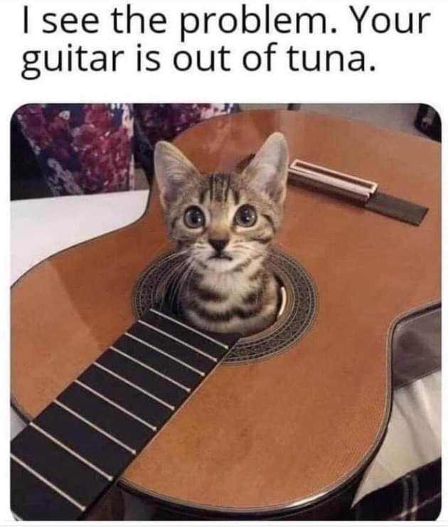 shalalala swalalala (johnmorgan) Farcaster social identity (Fname handle) PFP