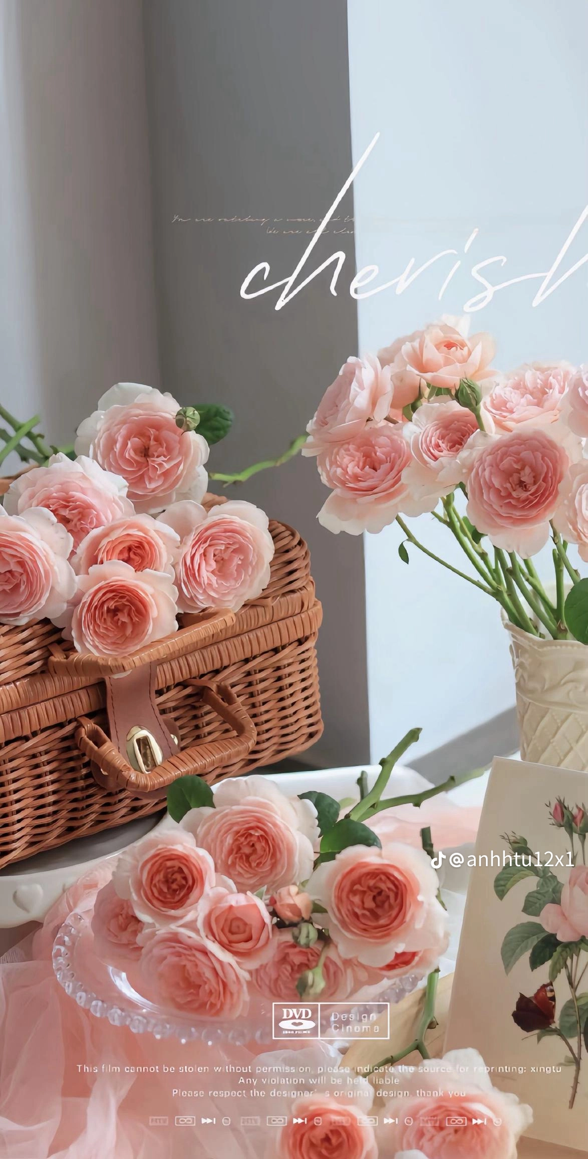 https://imagedelivery.net/BXluQx4ige9GuW0Ia56BHw/5503d04b-fc2a-44cd-cef3-8db27b5d9000/original
