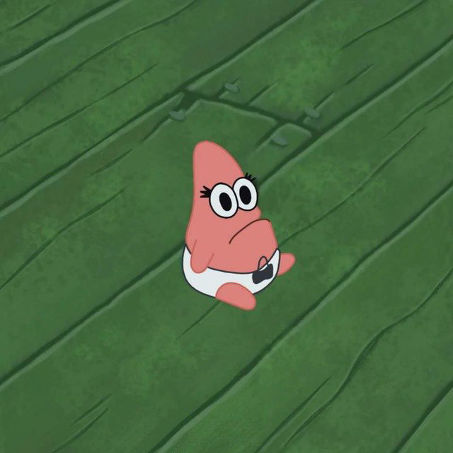 Starfish pfp
