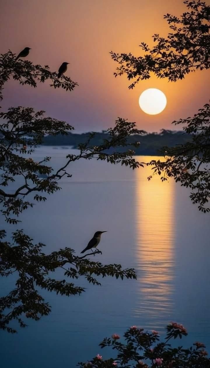 https://imagedelivery.net/BXluQx4ige9GuW0Ia56BHw/55867214-b679-4485-7eb3-e9cb673bc300/original