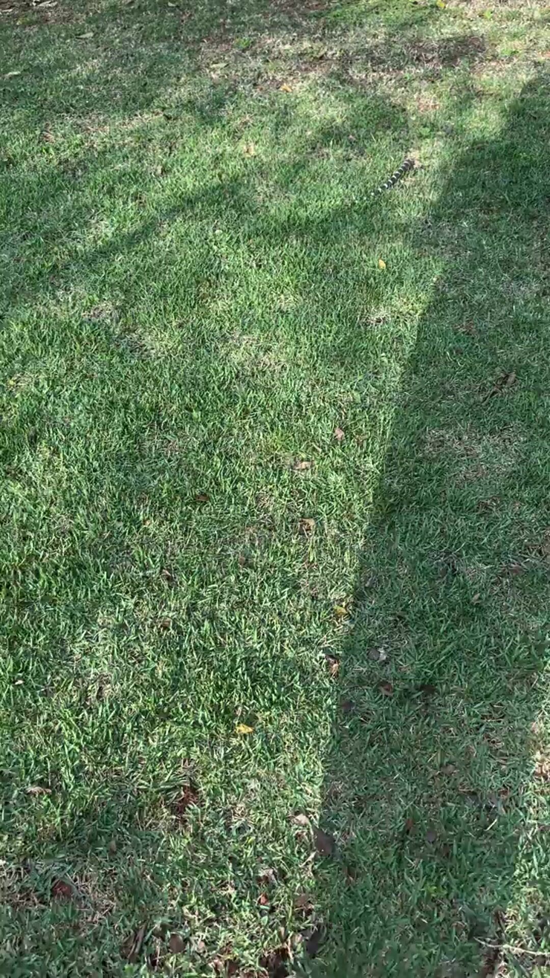 Cast video