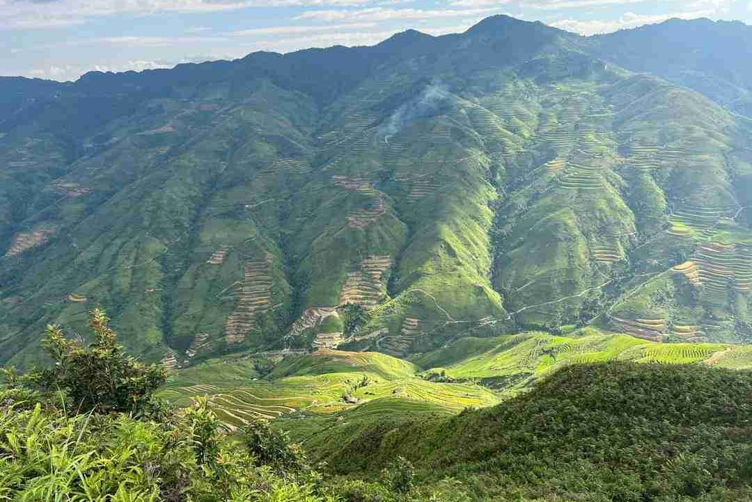 Hung (vulehung) Farcaster social identity (Fname handle) PFP