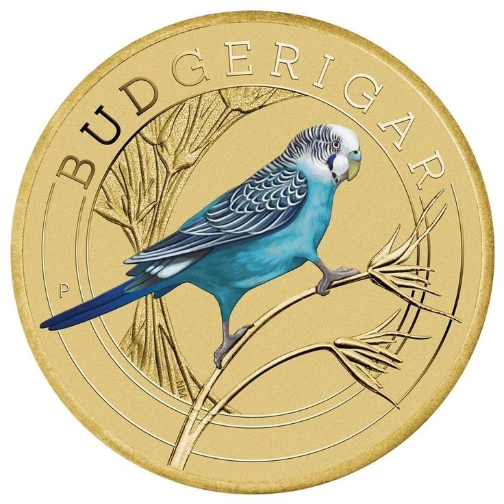 BUDGERIGAP
