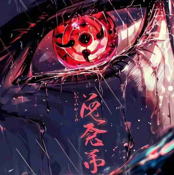 Igris Mi pfp