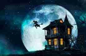 EternalSovereign pfp