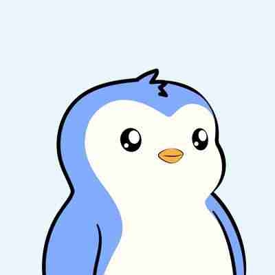 100% Follow Back ✅ pfp