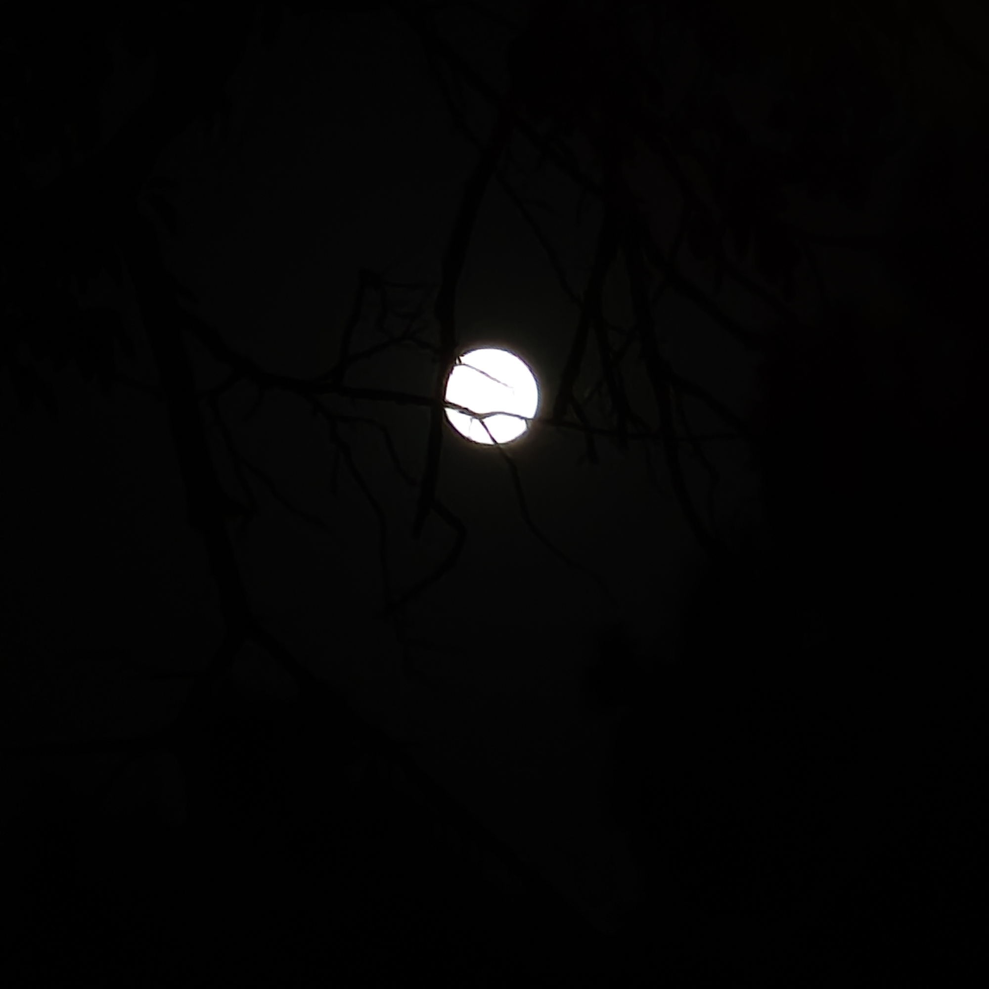 Dethember (dethember) Farcaster social identity (Fname handle) PFP