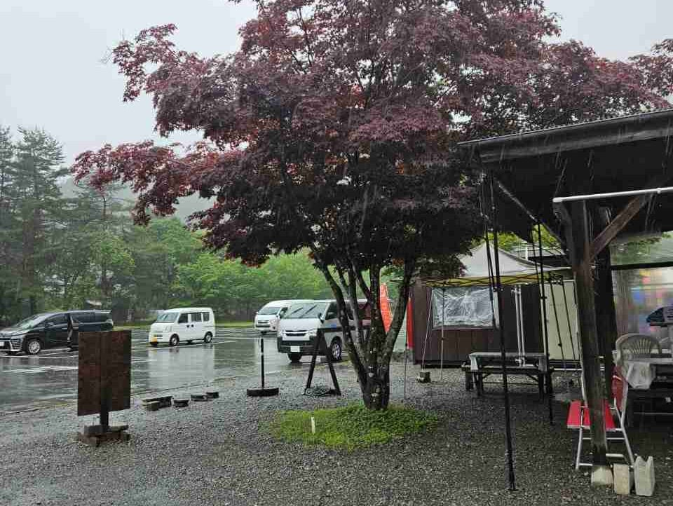 kgz (segasaturn.lens) Lens social identity (.lens handle) PFP