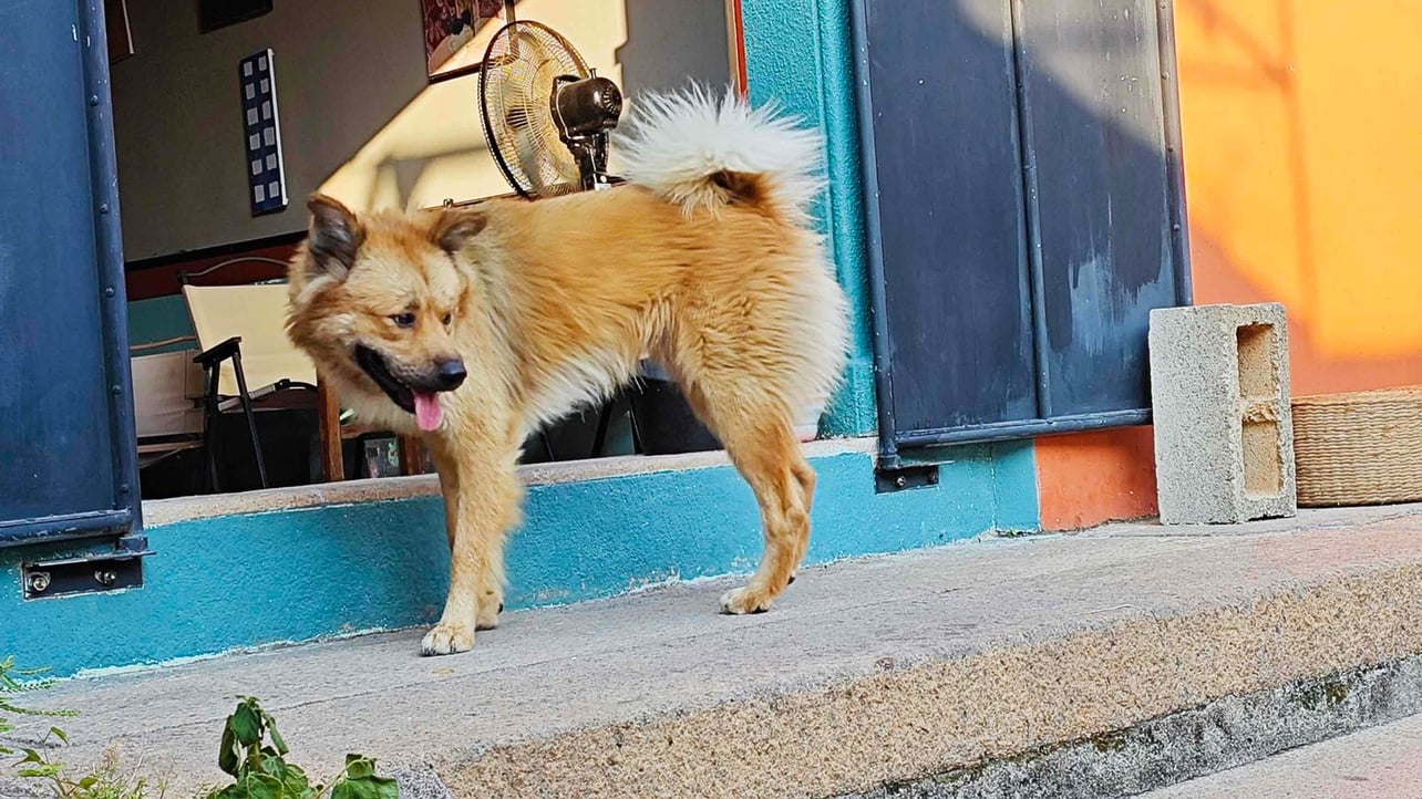 Sounds (beio) Farcaster social identity (Fname handle) PFP