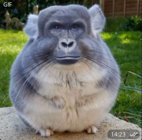 castle (webcastle) Farcaster social identity (Fname handle) PFP