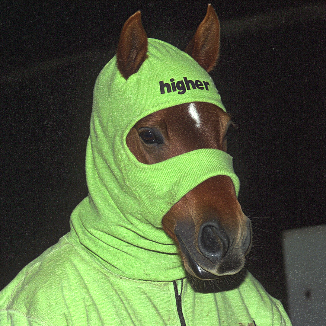 horsefacts pfp