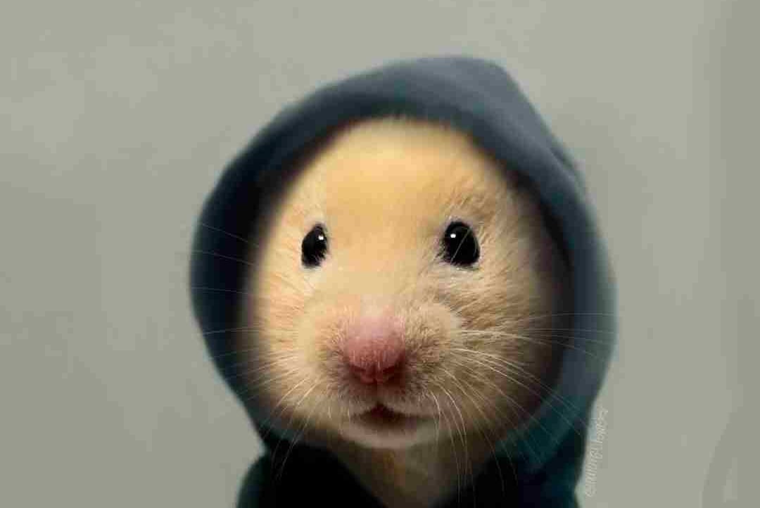 Jerry pfp
