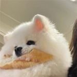 asdfdf (dfgjgh) Farcaster social identity (Fname handle) PFP