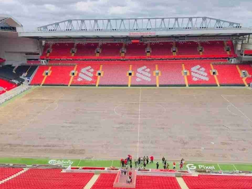 Pelacur's Farcaster avatar