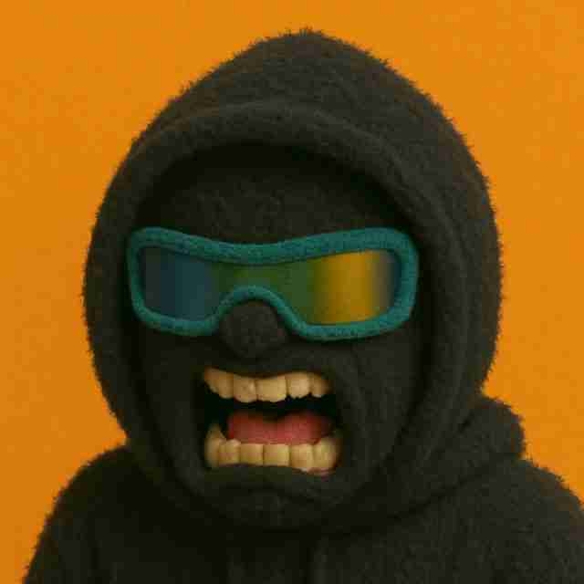 0xRuiner pfp